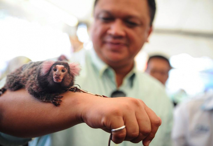 Raja Muda Perlis titah masyarakat jaga kebajikan haiwan