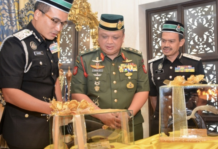 Ketua Pengarah Imigresen mengadap Raja Muda Perlis