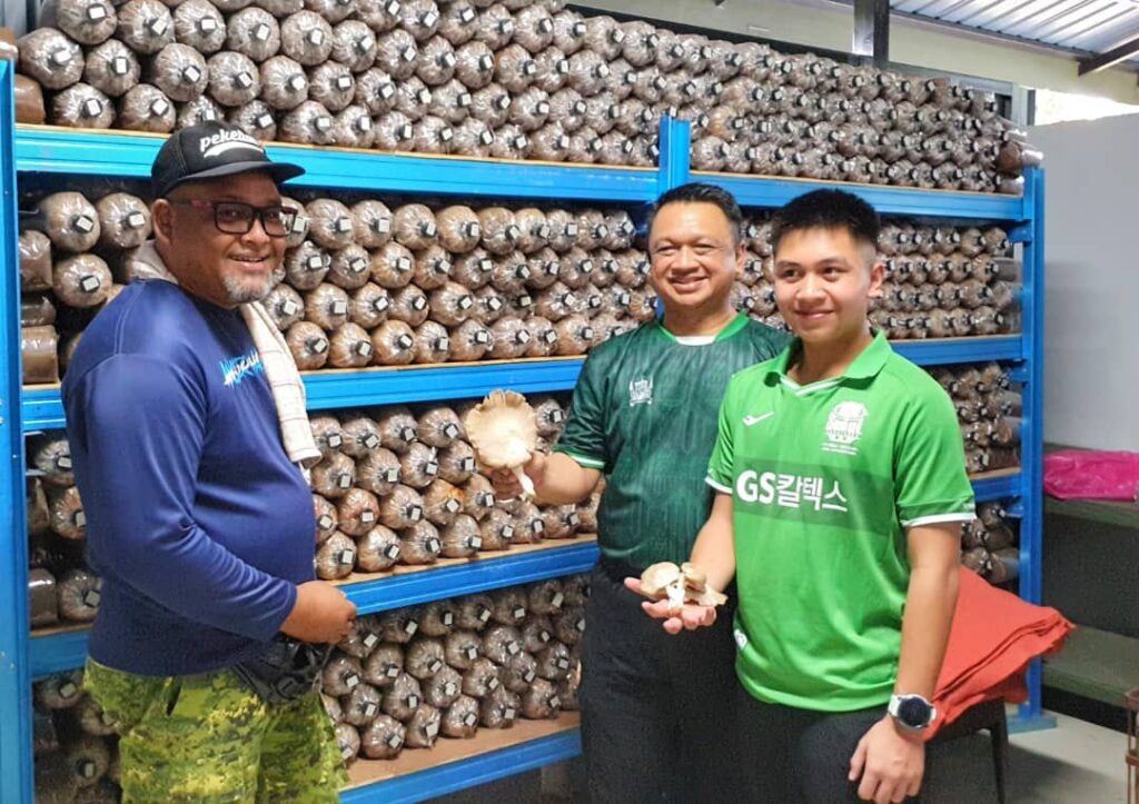 Raja Muda Perlis tinjau Projek Kebun Komuniti Tanaman Sayur KRT Taman Bukit Kayangan
