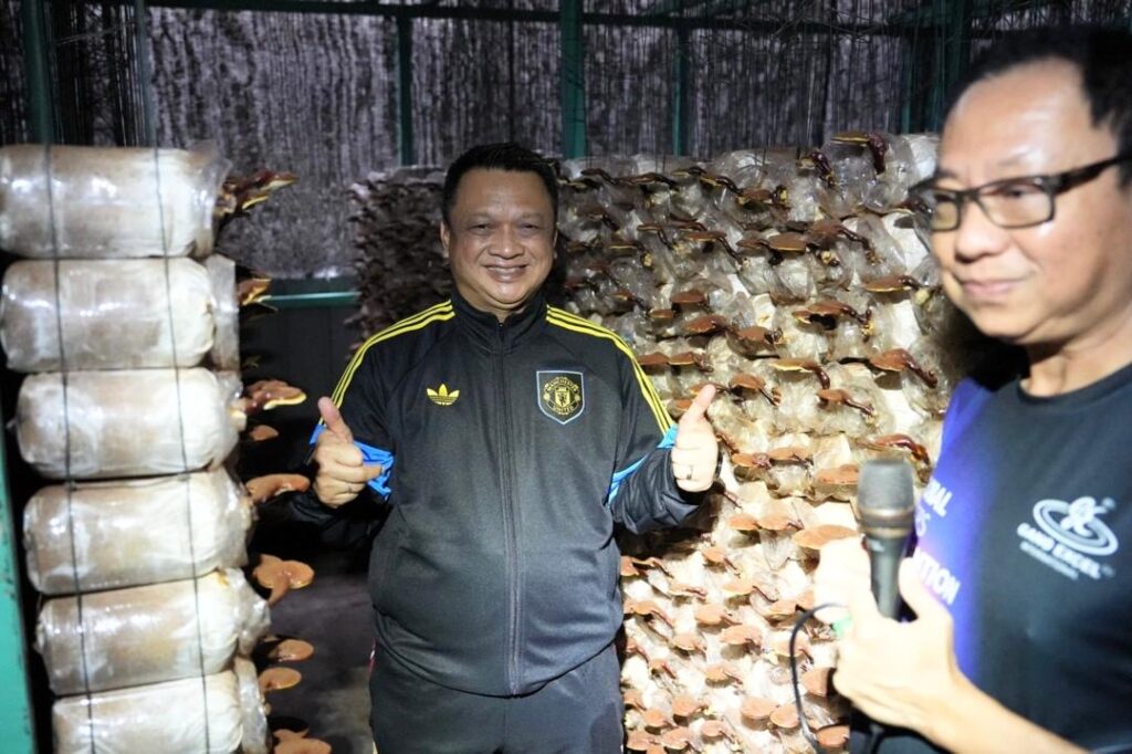 Raja Muda Perlis Pelawa Gano Excel Teroka Pelaburan di Perlis1