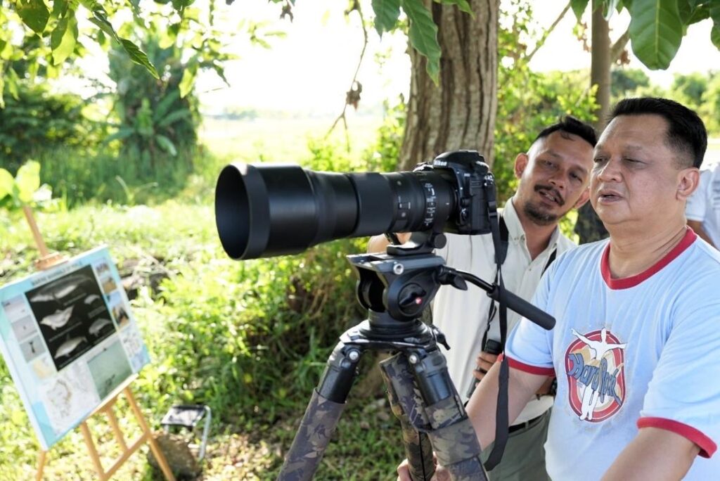 Lumba Lumba Irrawaddy Dikesan Di Perairan Sungai Baru Perlis